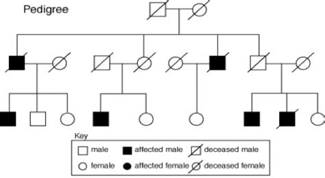 Patterns of Inheritance - Genetics Generation