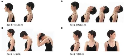 | Neck exercise. (A) Head retarction. (B) Neck extension. (C) Neck ...