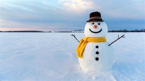 How to build the perfect snowman | abc7chicago.com