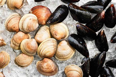 What's The Difference Between Clams, Mussels And Oysters?, 55% OFF