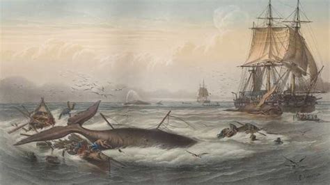 The History of Whaling in America | American Experience | Official Site ...