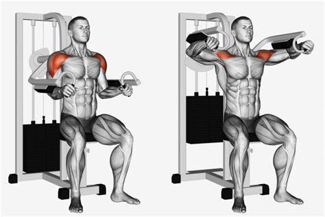 Machine Lateral Raise Guide: How To, Muscles Worked, and Variations