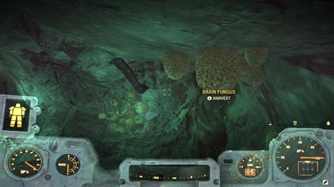 Fallout 76 Brain Fungus Locations – GameSkinny