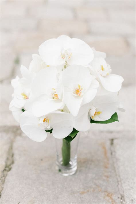 White Phalaenopsis Orchids Bouquet - Bouquet Wedding Flower