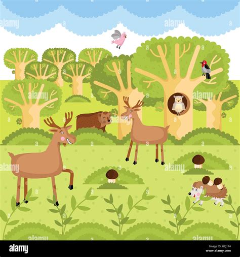 Cartoon forest animals woodland hi-res stock photography and images - Alamy