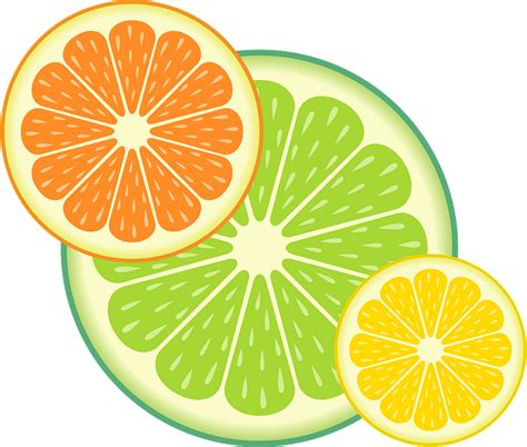 Free Citrus Cliparts Download Free Citrus Cliparts Png Images Free ...