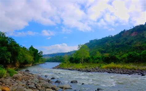 a river running through a lush green forest filled with lots of rocks ...