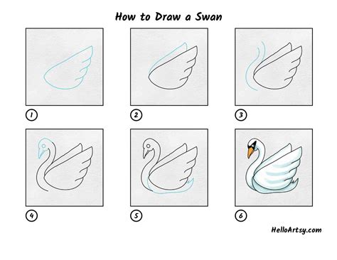 How to Draw a Swan - HelloArtsy