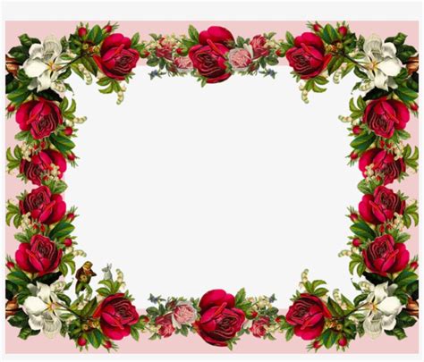 frame rose clipart 10 free Cliparts | Download images on Clipground 2024