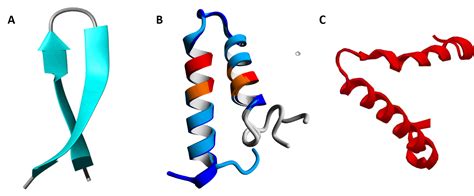 Which Of These Illustrates The Secondary Structure Of A Protein