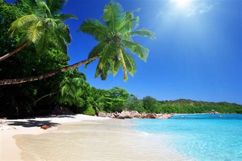 The Best Beaches in Malaysia [2023 with photos]