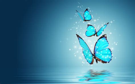 Blue Butterfly Wallpapers on WallpaperDog