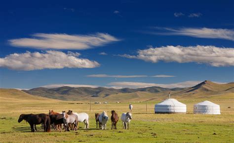 Mongolia - Steppes, Plateaus, Basins | Britannica