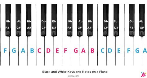 How to Label Piano Keys? [Pictures Included] - EnthuZiastic