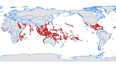 Coral Reefs Biome | Untamed Science