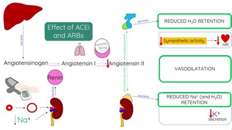 Ace Inhibitors Vs Arbs For Primary Hypertension | SexiezPicz Web Porn