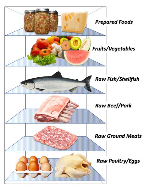 Usda Meat Storage Chart