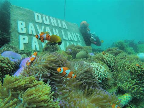 Destinasi Pulau Pahawang Lampung Snorkeling Terbaik di Lampung