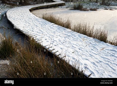 snowy path park Stock Photo - Alamy