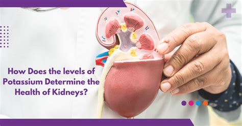 How does the levels of potassium determine the health of kidneys?