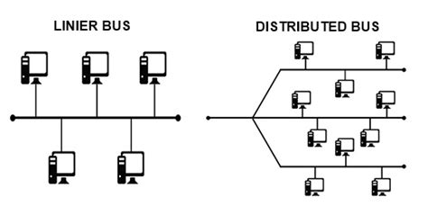 Understanding the Bus topology and its advantages and disadvantages