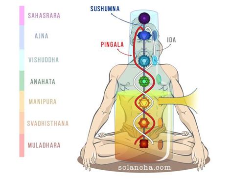 Pin on Chakras