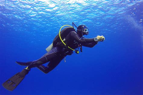 Scuba Diving là gì? Scuba Diving mang lại lợi ích gì? - Vemaybays.vn