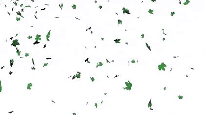 Falling Green Leaves Gif Transparent / Rose Petals Falling Wallpaper ...