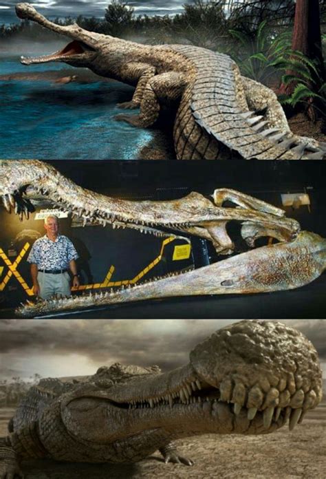 SARCOSUCHUS. | 古代生物, 古代