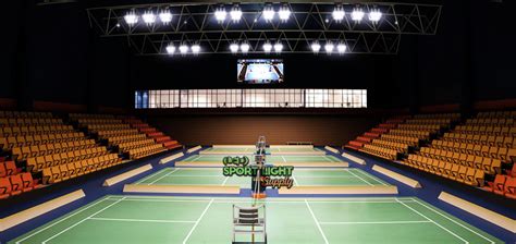 Badminton Court Lighting - Indoor & Outdoor LED Badminton Lights: The ...