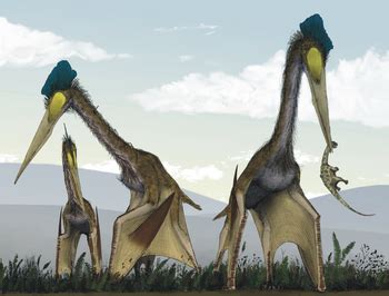 Quetzalcoatlus - Wikipedia