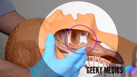 Basic Airway Manoeuvres - OSCE Guide | Geeky Medics