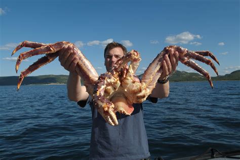 Types Of Crabs In Alaska