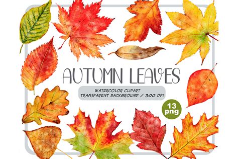 Set Of Autumn Leaves Png Clipart Image - Autumn Leaf Png Clipart - Clip ...