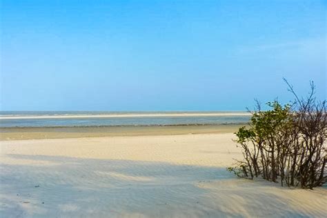 10 Beaches to Visit in West Bengal - Tourist Attractions and Things To Do