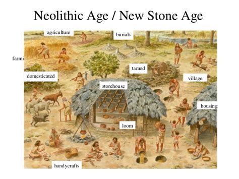 Neolithic age in India -- Tools, Neolithic Sites, Art, Burials