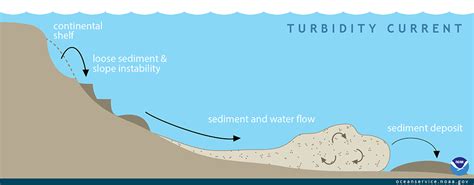 What is a turbidity current?