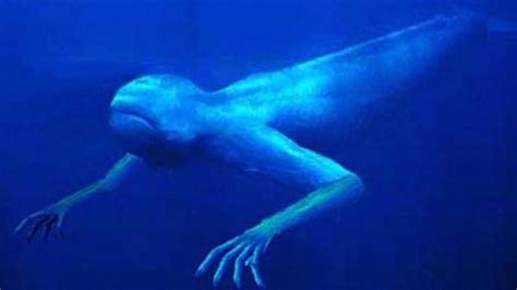 Google Earth may have Found a Sea Monster - For the Boys