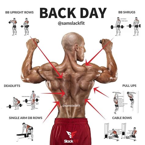 Pull Ups For Back And Shoulders - Fitness Trio