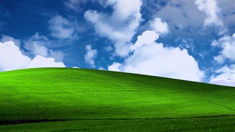 Microsoft Windows XP Bliss Wallpaper Animated - YouTube