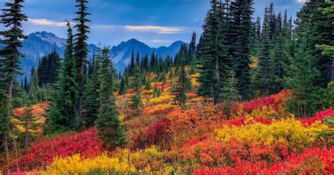 10 Seattle-area hikes for seeing beautiful fall colors | Cascade ...