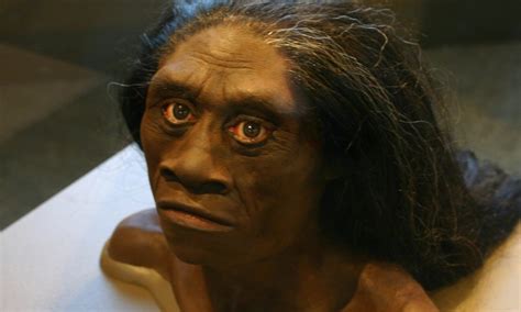 Investigating Homo Floresiensis and the Myth of the Ebu Gogo ...