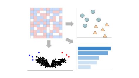 Bulk RNA-seq analysis pipeline