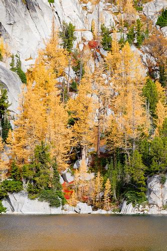 Fall colors in the Enchantments | 7000' up in the alpine wit… | Flickr