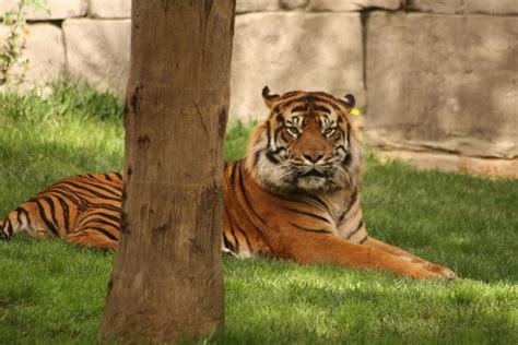 Fuengirola Zoo | Day trip to the zoo in Fuengirola, Malaga, … | Steve ...