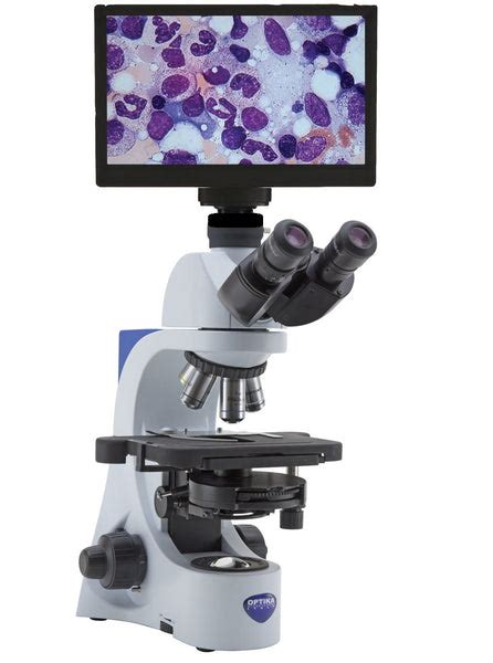 Optika B-380 Phase Contrast HD Digital Microscope – Microscope Central