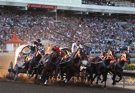 Calgary Stampede 2024 / 2025 | Canada | Barrhead Travel