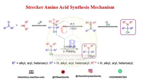 Strecker Reaction :Synthesis of Amino Acids| Mechanism