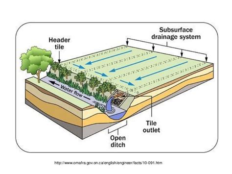 Understanding Soil Water