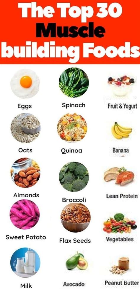 high protein foods for weight loss and muscle gain - Gaynell Chalmers